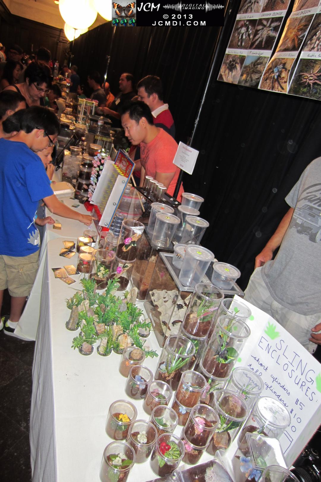 LANHM Bug Fair 2013 crowds and displays